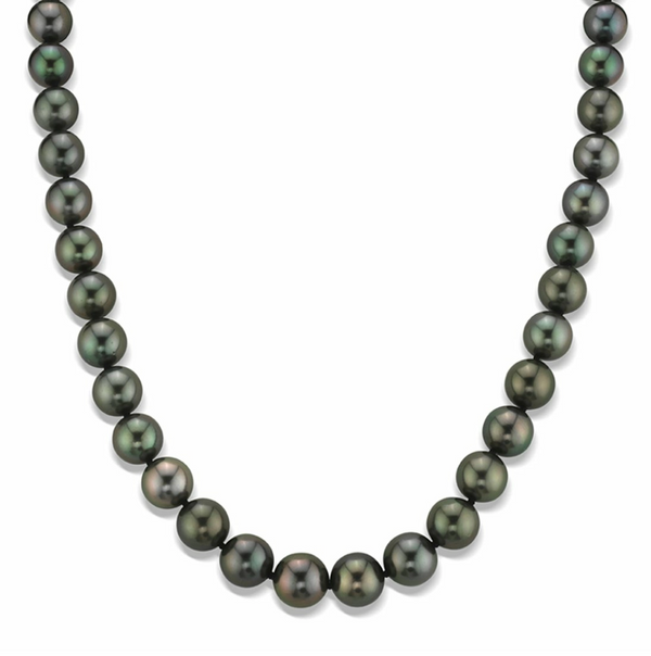 Damian Horn Talisman Black Tahitian Pearl Necklace With Pavé-Set Brilliant Diamonds In 18K Yellow Gold - ED