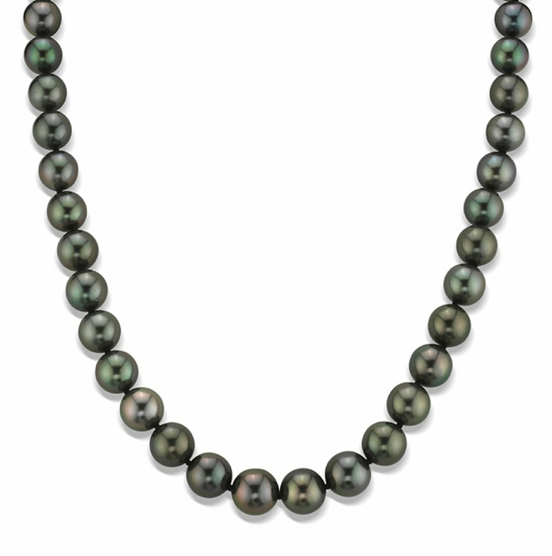 Damian Horn Talisman Black Tahitian Pearl Necklace With Pavé-Set Brilliant Diamonds In 18K Yellow Gold - ED